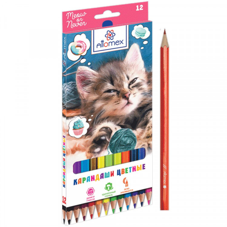 Карандаши цветные (Attomex) Meow or Never 12 цветов М 2,65мм арт.5022203