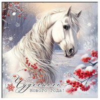 Бирка-открытка д/подарков А8 "Чудесного Нового года!" арт.50001516