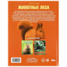 Энциклопедия А4 Животные леса (Умка) арт.978-5-506-09108-0