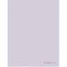 Папка 20 файлов 0,7мм пл. deVENTE Esthetics лавандово-пепельная арт.3101528 (Ст.20/80)