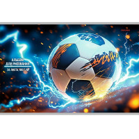 Альбом для рисования 24 листа скоба (Prof-Press) Футбольный мяч арт.24-7880