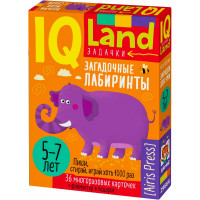 Карточки обучающие (Айрис) Загадочные лабиринты многоразовые с маркером 5+ арт.29664