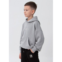 Свитшот для мальчика утепленный арт.CEGISA 2017 размер 42/158-46/170 цвет серый