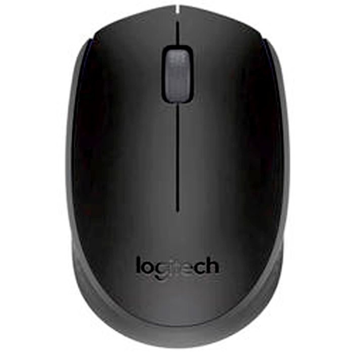 Мышь беспроводная Logitech Wireless Mouse M171