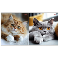 Тетрадь А5 клетка 48 листов на гребне (Profit) Милые коты мелованная обложка ассорти арт.48-8615