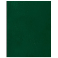 Тетрадь А5 клетка 48 листов бумвинил скоба второй блок  (BG) зеленый  арт.Т5бв48кЭ_12319