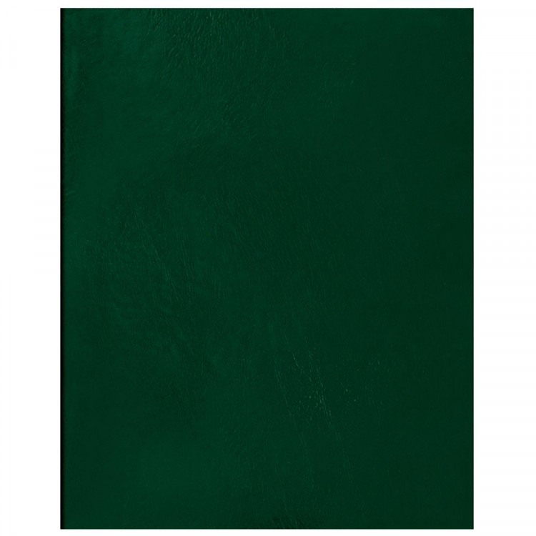 Тетрадь А5 клетка 48 листов бумвинил скоба второй блок  BG зеленый  арт.Т5бв48кЭ_12319