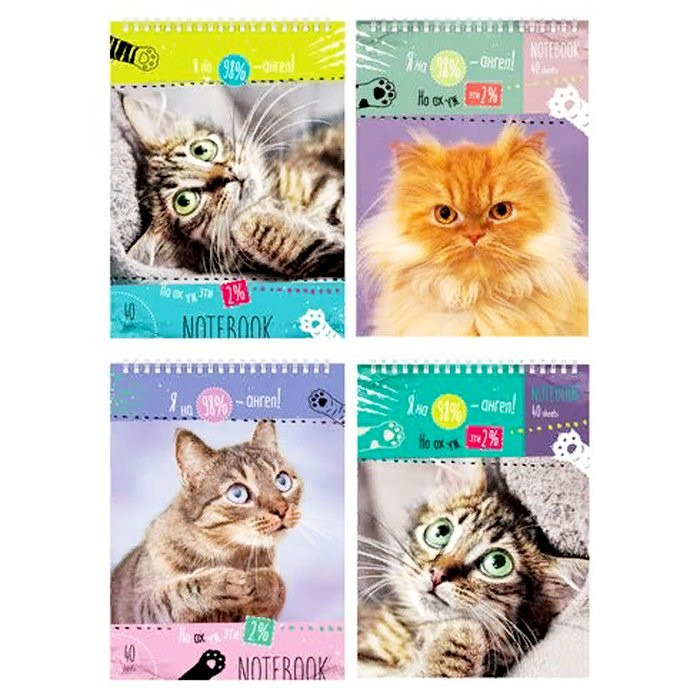 Блокнот А5 мягкая обложка на гребне 40 листов (BG) Забавный котик арт 7459