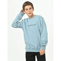 Толстовка для мальчика (CEGISA) артикул 4667 размерный ряд 30/116-34/134 цвет морская волна