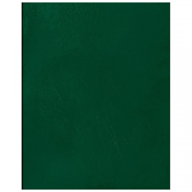 Тетрадь А4 клетка 96 листов бумвинил скоба второй блок BG зеленый арт.Т4бв96кЭ_12343