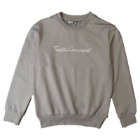 Толстовка для мальчика (CEGISA) артикул 4668 размерный ряд 36/140-40/152 цвет бежевый