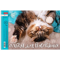 Альбом для рисования 24 листов спираль перфорация на отрыв (Hatber) Кот Борис ассорти арт 24А4Всп