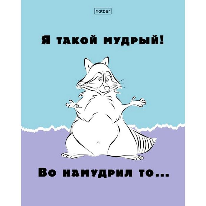 Тетрадь А5 клетка 48 листов скоба (Hatber) Еноты арт 48Т5В1