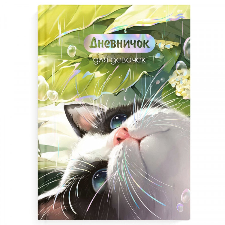 Дневничок для девочки А5 твердая обложка 48 листов (Феникс) Утренний кот арт.70159