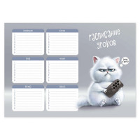 Расписание уроков А4 (Феникс) Серый кот арт.68856