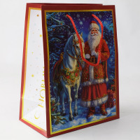Пакет подароч. бумаж. 18*23см "Конь и Дед Мороз" арт.95684FE