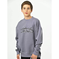 Толстовка для мальчика (CEGISA) артикул 4736 размерный ряд 36/140-40/152 цвет серый