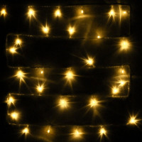 Гирлянда эл.д/дома точечная 05м 50LED цв.т.белый на батарейках арт.183-0207