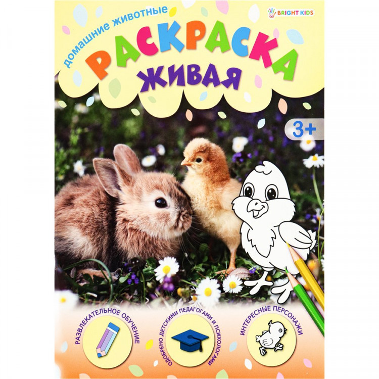 Раскраска А4 Живая Домашние животные (Проф-Пресс) 08л арт.Р-0099