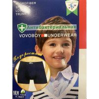 Боксеры для мальчика арт.9407 хлопок 95%, спандекс 5% цвет ассорти