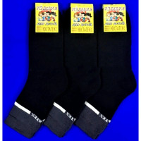 Носки детские арт.3с15 размер 18-24 хлопок 78% полиамид 17% эластан 5%цвет ассорти для мальчика укороченные внутри махра (Юстатекс)