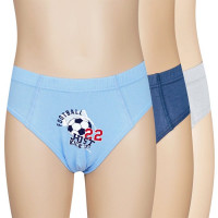 Трусы для мальчика арт.3679/2 95% хлопок 5% эластан цвет ассорти 4-5 лет