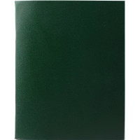 Тетрадь А5 клетка 96 листов бумвинил скоба второй блок (BG) зеленый арт.Т5бв96кЭ_12334