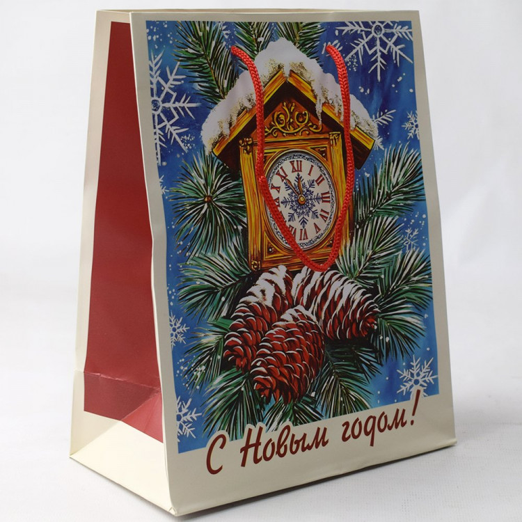 Пакет подароч. бумаж. 18*23см "Часы и шишки" арт.95688FE