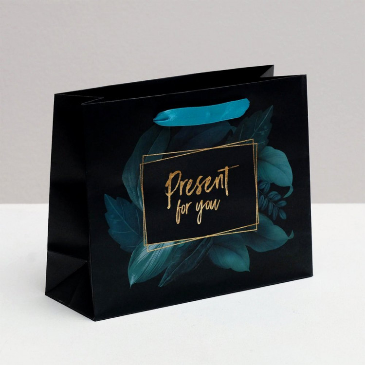Пакет подарочный 22*17,5см "Present for you" арт.4766883