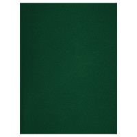 Тетрадь А4 клетка 48 листов бумвинил скоба (BG) зеленый арт.Т4бв48к_12322