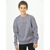 Толстовка для мальчика (CEGISA) артикул 4744 размерный ряд 30/116-34/134 цвет серый