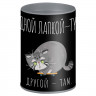 Копилка (Феникс) Серый кот 10,4х7,5х7,5 см металл арт.69373