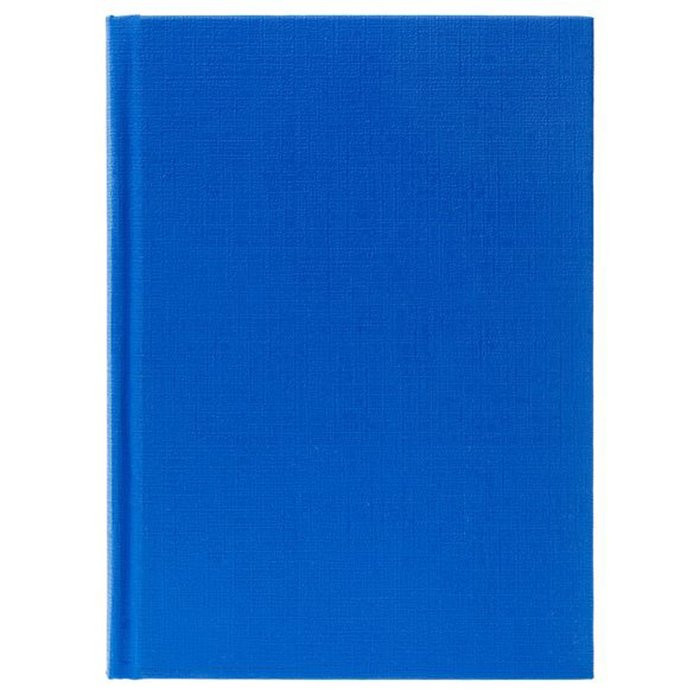 Бизнес-блокнот А6 твердая обложка 96 листов (Hatber) бумвинил синий арт 96ББ6бвВ1