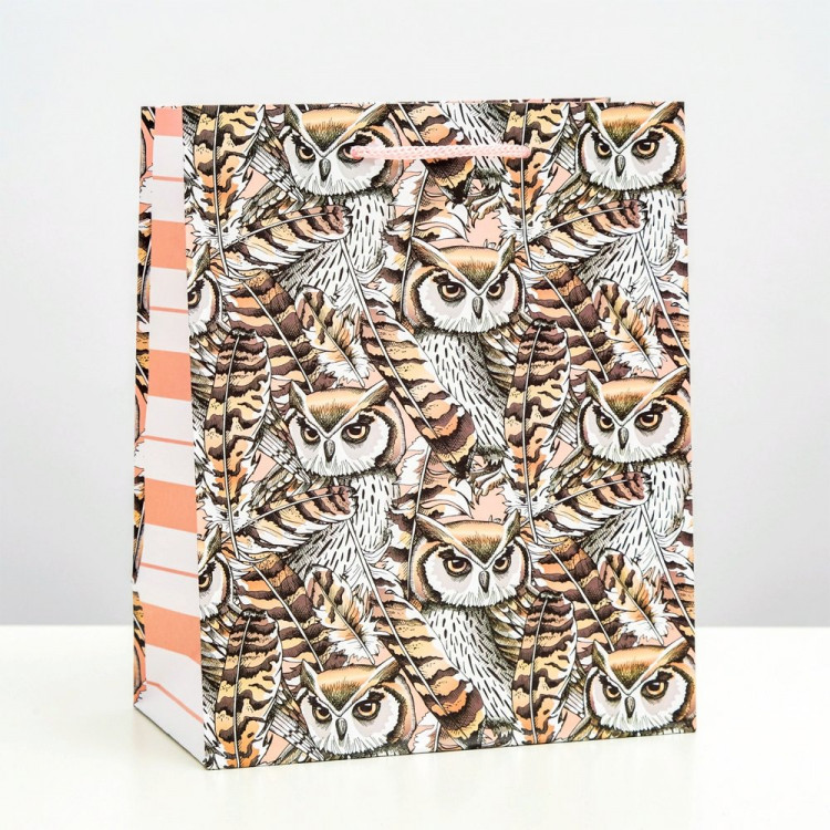 Пакет подарочный 18*22,3см "Взгляд совы" арт.9160764