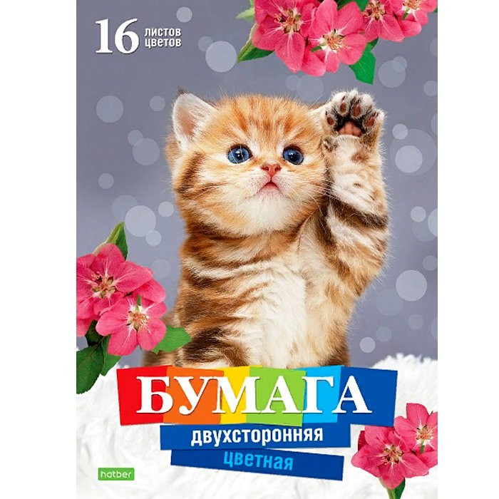Цветная бумага А4 16листов 16цветов не мелованная двухстороняя Котенок арт 16Бц4_20982