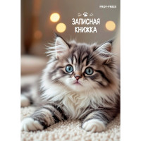 Записная книжка А7 твердая обложка 64 листа (Prof-Press) Милые котята глянцевая ламинация арт.64-8639