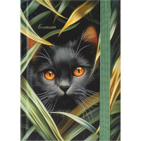 Записная книжка А6 твердая обложка 88 листов (Prof-Press) Нежная природа в точку  матовая ламинация фиксируется резинкой арт.Б88-9939