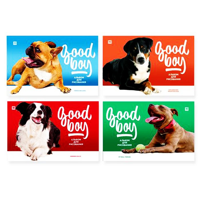 Альбом для рисования 40 листов скоба (BG) Good boy ассорти арт.7387