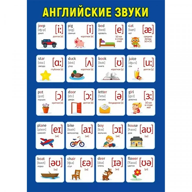 Плакат А4 Английские звуки двусторонний арт.071 370