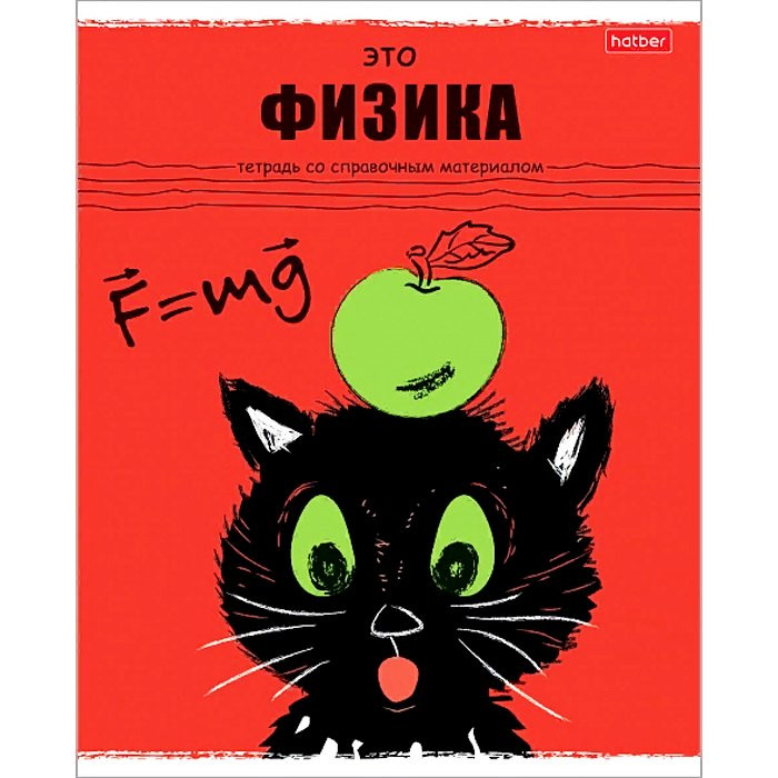 Тетрадь предметная 48 листов (Hatber) Черный кот Физика арт.48Т5Вd1_26688