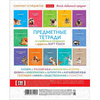 Комплект предметных тетрадей 12 штук 48 листов (Hatber) Мой любимый предмет арт.48Т5лВd