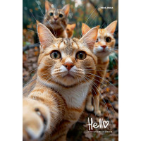 Записная книжка А5 твердая обложка 160 листов (Prof-Press) Фотография котиков глянцевая ламинация арт.160-1695