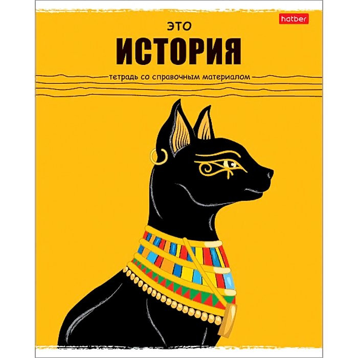 Тетрадь предметная 48 листов (Hatber) Черный кот История арт.48Т5Вd1_26692
