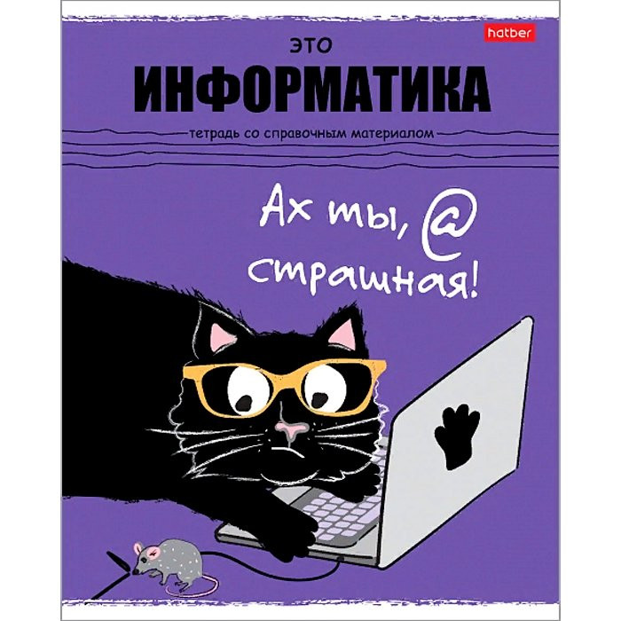 Тетрадь предметная 48 листов (Hatber) Черный кот Информатика арт.48Т5Вd1_26693