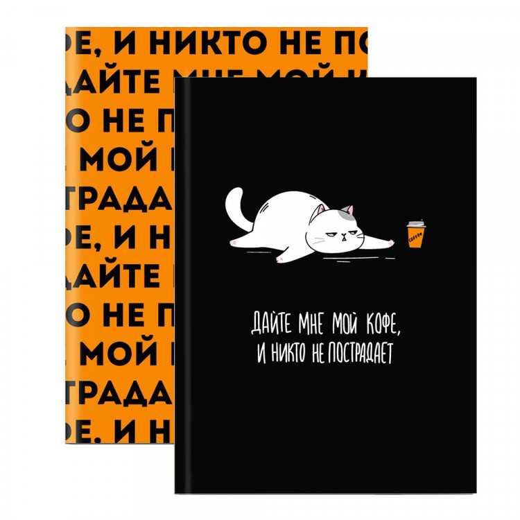 Записная книжка А6 твердая обложка 96 листов (Феникс) Фразы с характером матовая ламинация арт.68037