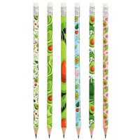 Карандаш черно-графитный МС с ластиком НВ  "Авокадо" арт.МС-6395/12 (Ст.12)