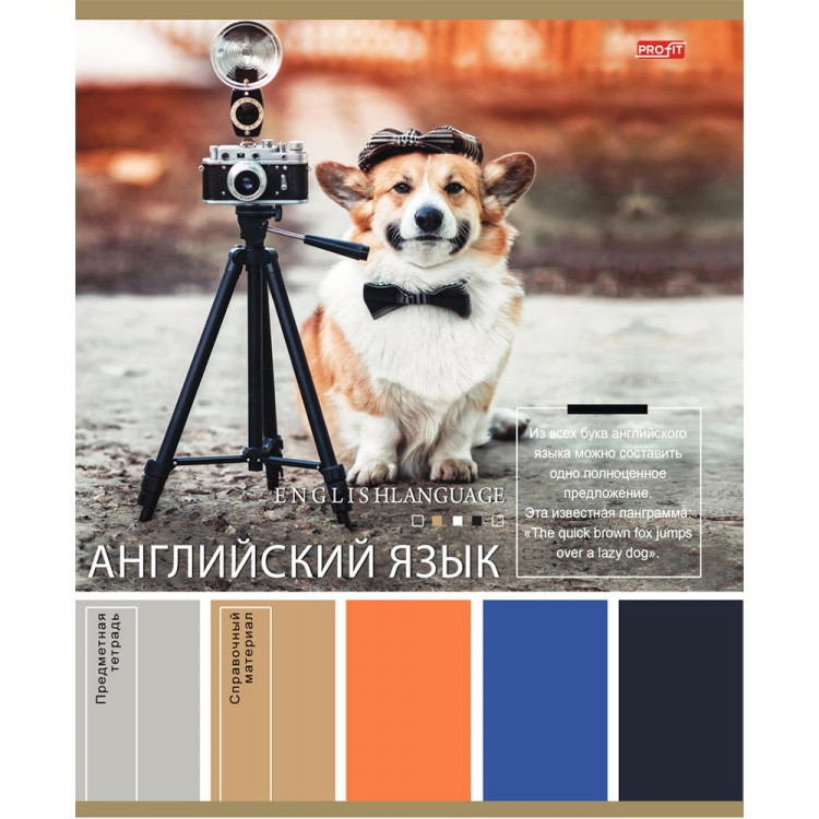 Тетрадь предметная 36 листов (Profit) PANTONE Английский язык арт.36-9309