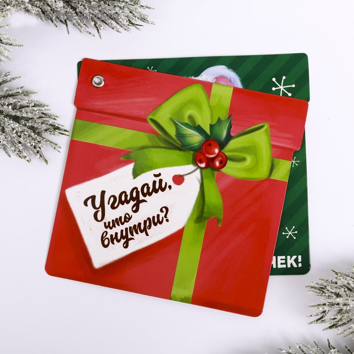 Магнит СГ "Угадай, что внутри" 10,4х10см арт.4167126